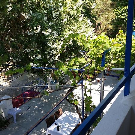 Deniz Yildizi Panzió Fethiye Kültér fotó